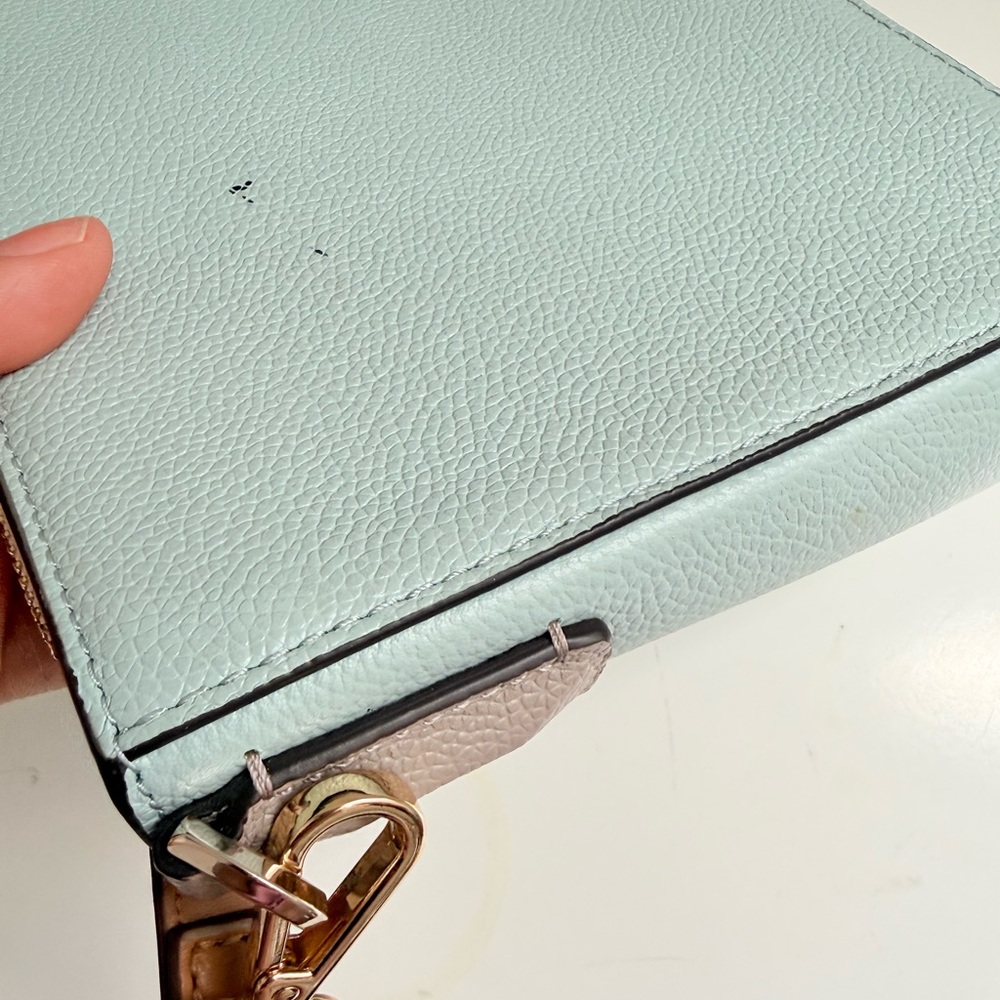 Kate Spade Blush and Ivory Crossbody Bag - Picture 6 of 8